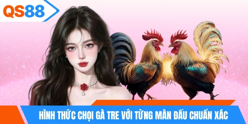 Hình thức chọi gà tre với từng màn đấu chuẩn xác Hình thức chọi gà tre với từng màn đấu chuẩn xác