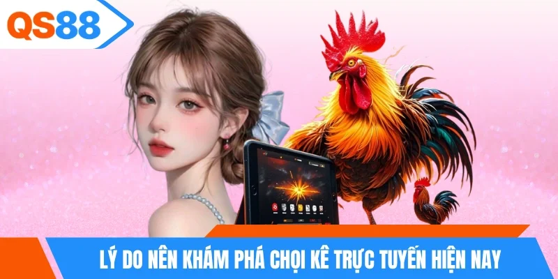 Lý do nên khám phá chọi kê trực tuyến hiện nay Lý do nên khám phá chọi kê trực tuyến hiện nay